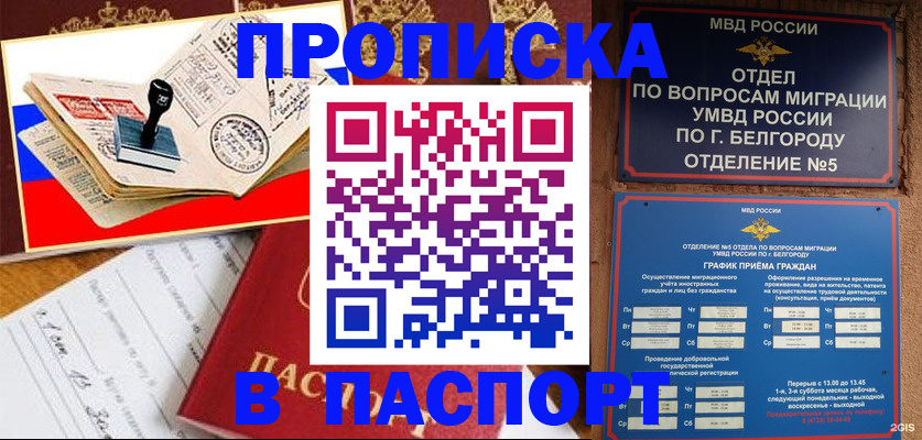купить прописку в Тынде